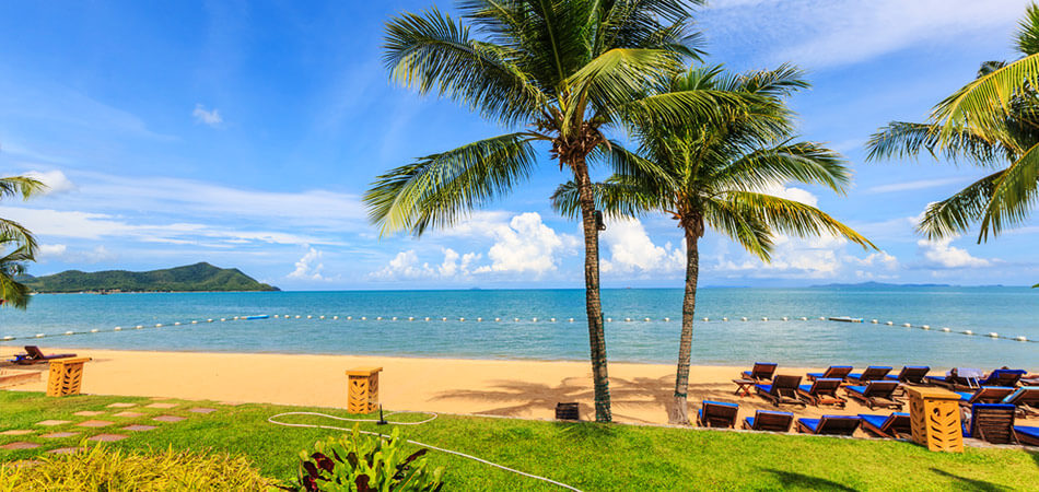pattaya