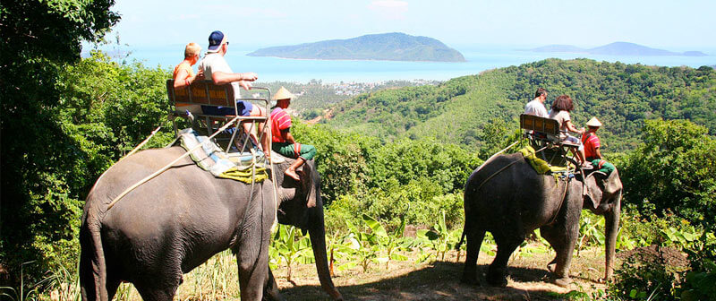 Top Tours Phuket