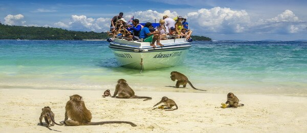 Monkey Beach