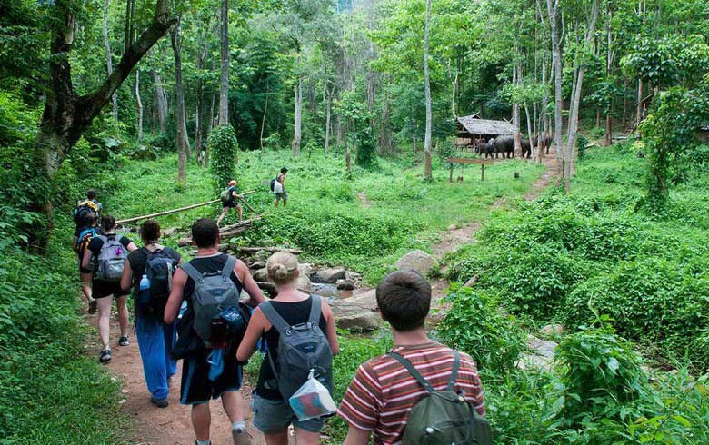 Trekking Thailand