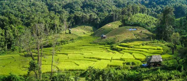 Khao Yai Khao Yai