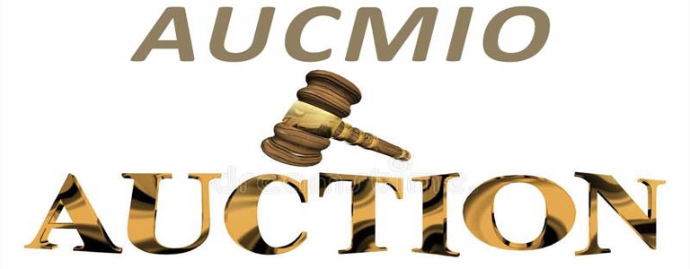 Aucmio Auction