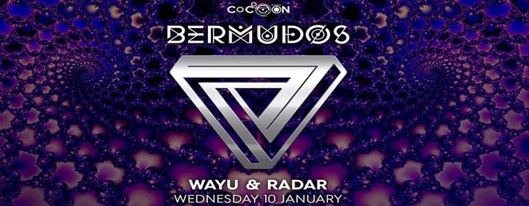 Bermudos at Cocoon Phuket 