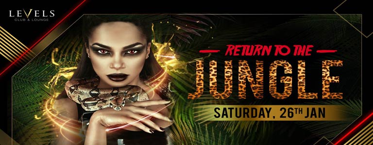 Levels presents Return to the Jungle