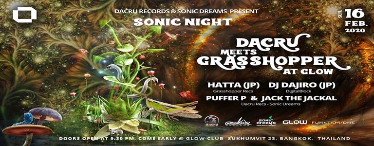 Sonic Night : Dacru meets Grasshopper