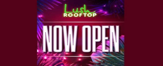 Lush Rooftop Is Back