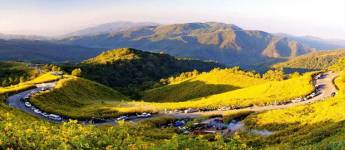 Bua Tong Blossom Festival at Doi Mae U Khaw, Khun Yuam district of Mae Hong Son Province