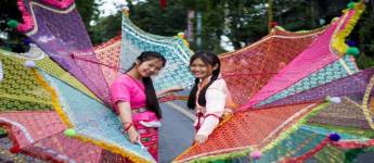 Colors of Doi Tung Festival, Doi Tung National Park, Chiang Rai