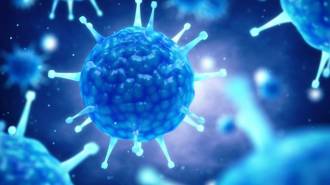Corona Virus