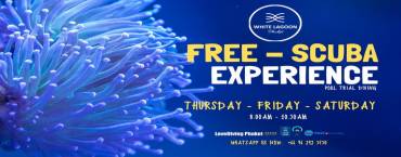 Scuba Experience & Pool Trial Diving at White Lagoon Pool