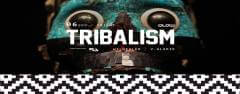 Tribalism w/ Wildealer & V. Alarik