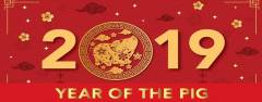 Chinese New Year 2019