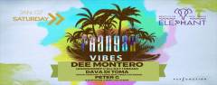 Elephant Beach Club pres. 'PHANGAN VIBES'