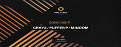 Sonic Night W/ Cray3, Puffer P & Minoom
