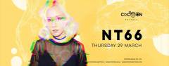 NT66 Live at Cocoon Pattaya